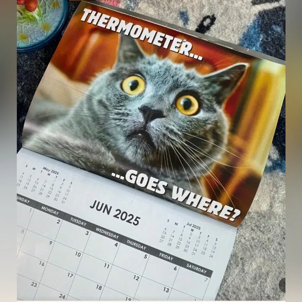 Pissed-Off Cats 2025 Calendar